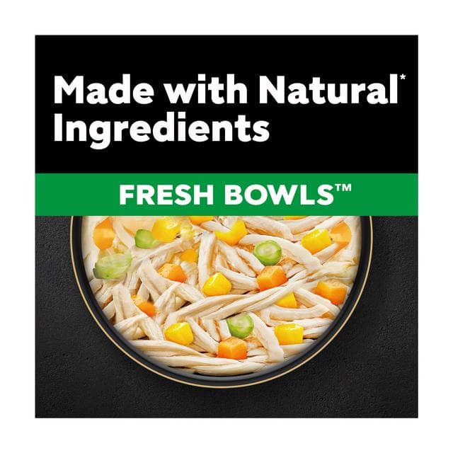 Cesar Fresh Bowl Adult Wet Dog Food with Chicken, Carrots, Beans, Pumpkin in Gravy 85g - gallery image 2