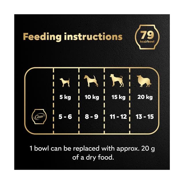 Cesar Fresh Bowl Adult Wet Dog Food with Chicken, Carrots, Beans, Pumpkin in Gravy 85g - gallery image 4
