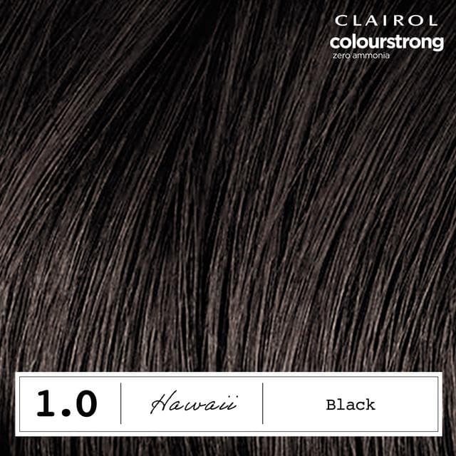 Clairol Colour Strong Black 1.0 Permanent Hair Dye - gallery image 5