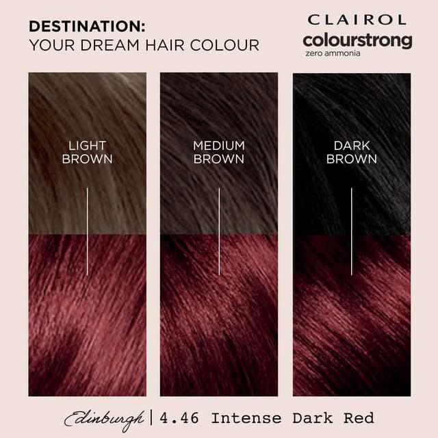 Clairol Colour Strong Intense Dark Red 4.46 Permanent Hair Dye - gallery image 3