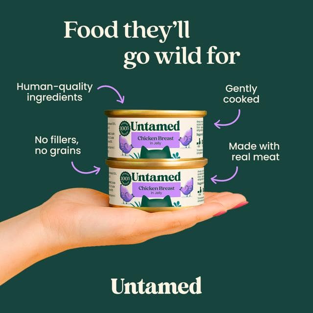 Untamed Wet Cat Food in Jelly Chicken Selection Box 6 x 75g - gallery image 3