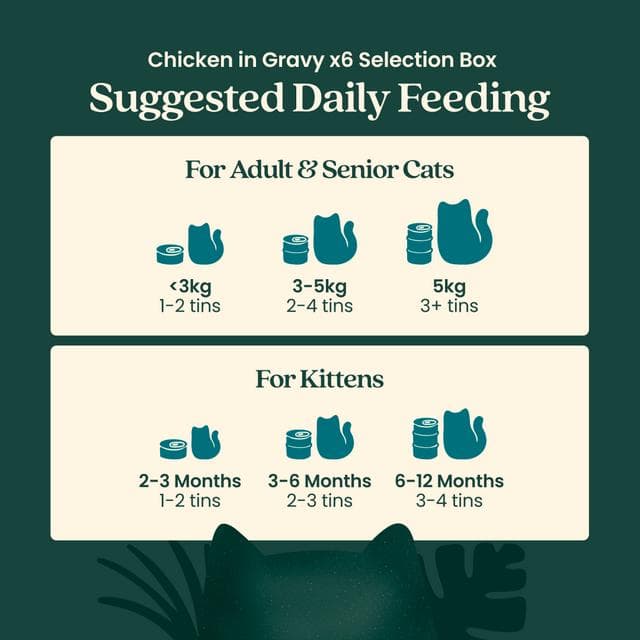 Untamed Wet Cat Food in Gravy Chicken Selection Box 6 x 75g - gallery image 6