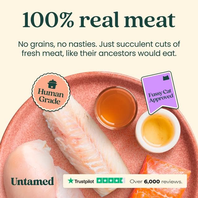 Untamed Wet Cat Food in Jelly Fish Selection Box 6 x 75g - gallery image 3