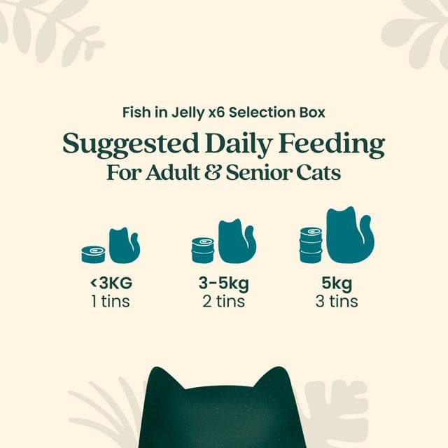 Untamed Wet Cat Food in Jelly Fish Selection Box 6 x 75g - gallery image 6