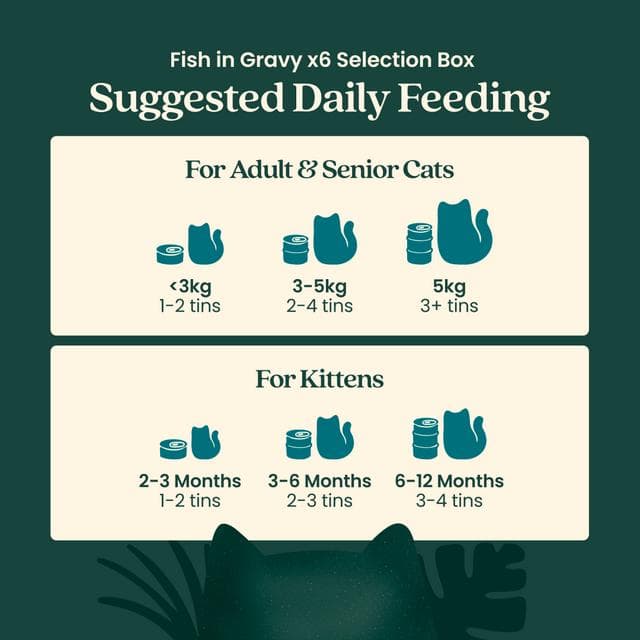 Untamed Wet Cat Food in Gravy Fish Selection Box 6 x 75g - gallery image 6
