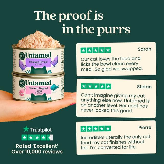 Untamed Chicken Breast in Gravy Wet Cat Food 75g - gallery image 6
