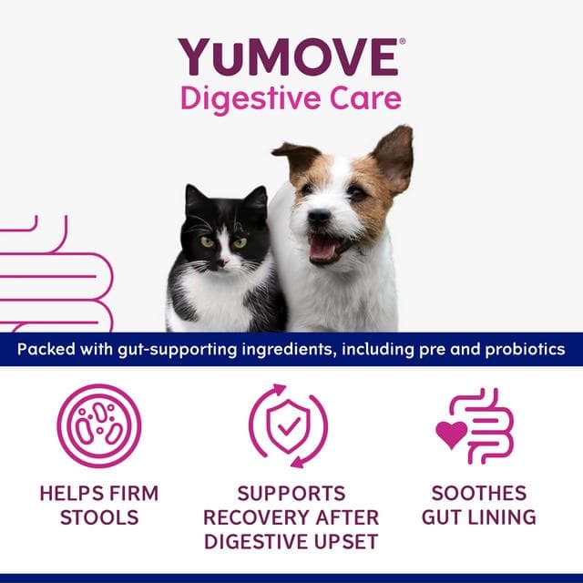 Yumove Digestive Care Rapid for All Dogs & Cats Tasty Paste 30ml - gallery image 2
