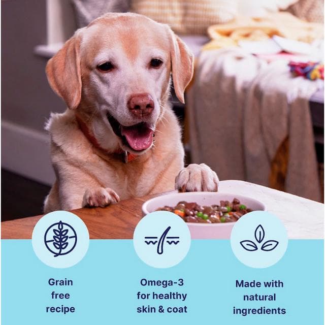 Tails.com Inner Vitality 60% Beef Adult Dog Food 1-7 Years 150g - gallery image 2