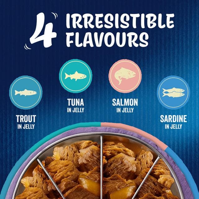 Felix As Good As it Looks Senior 7+ Fish Selection in Jelly Cat Food 40 x 85g - gallery image 6