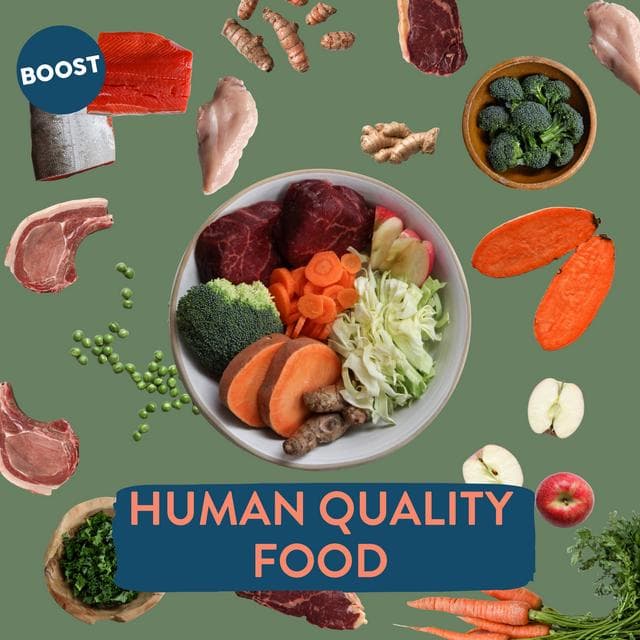 Boost Fresh Food Lamb with Superfoods Dog Food 400g - gallery image 3
