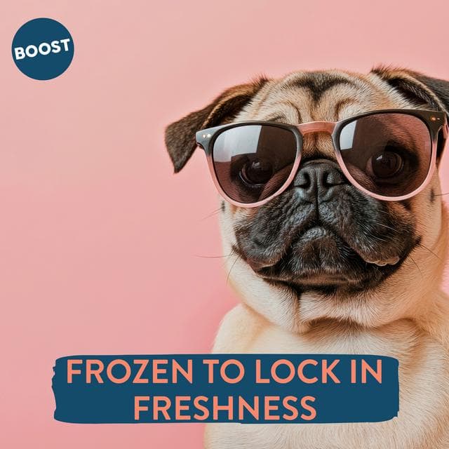 Boost Fresh Food Lamb with Superfoods Dog Food 400g - gallery image 5
