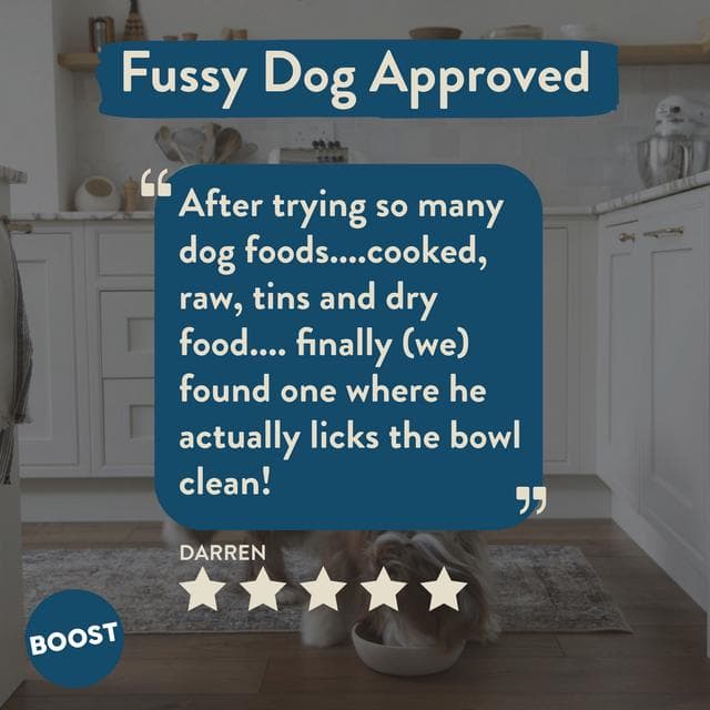 Boost Fresh Food Lamb with Superfoods Dog Food 400g - gallery image 6