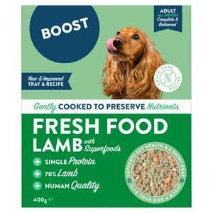 Boost Fresh Food Lamb with Superfoods Dog Food 400g
