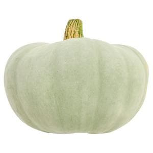 Sainsbury's British Crown Prince Squash, Taste the Difference