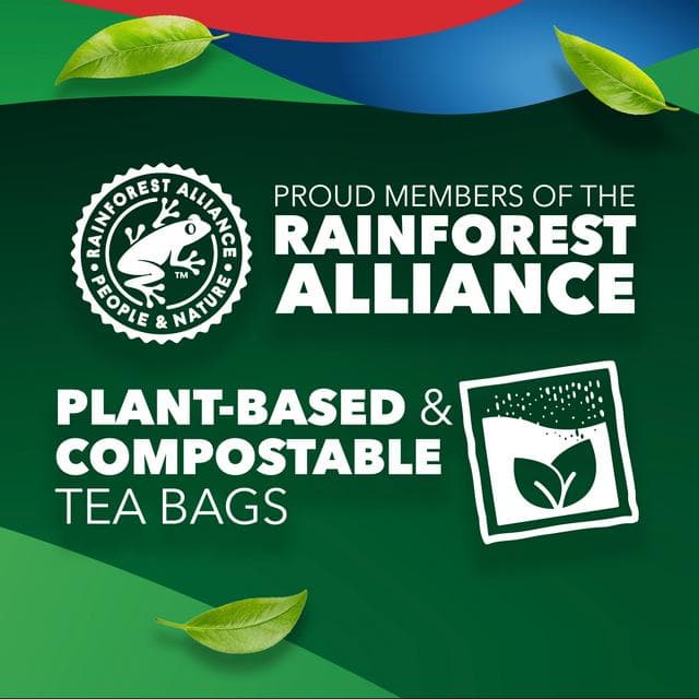 PG Tips Decaf Tea Bags x160 - gallery image 6
