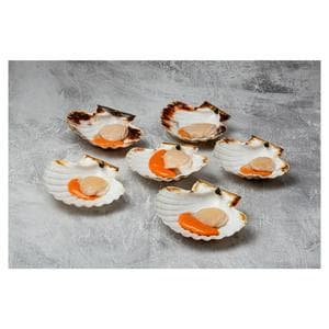 Sound Seafood Half Shell British King Scallops x6 475g