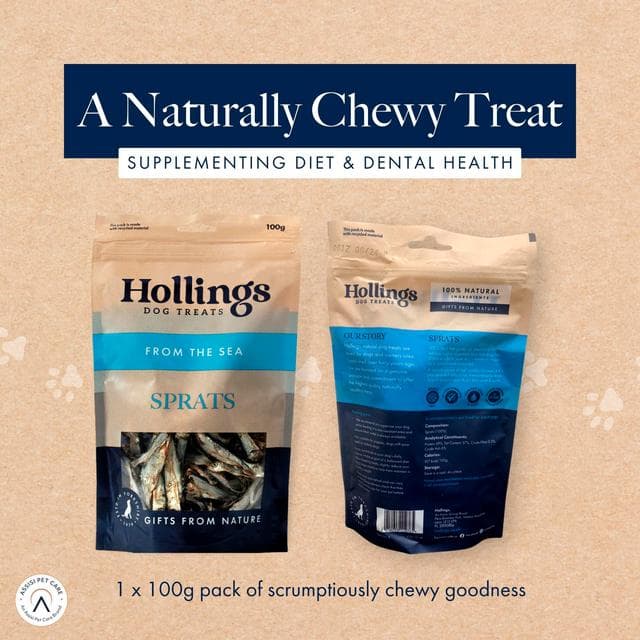 Hollings From the Sea 100g Sprats Dog Treats - gallery image 2