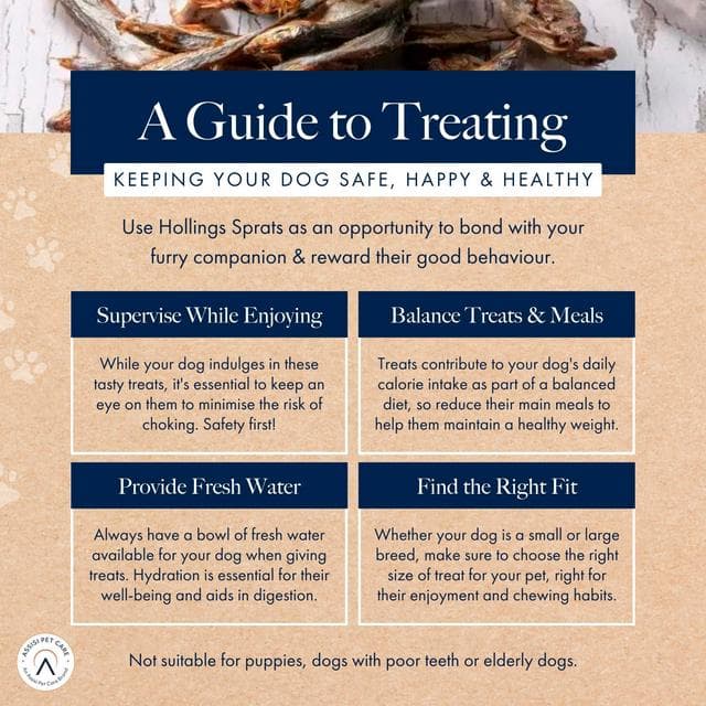Hollings From the Sea 100g Sprats Dog Treats - gallery image 6