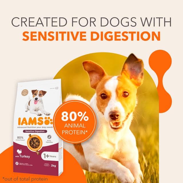 IAMS Sensitive Digestion with Turkey Dog Food 1+ Years 2kg - gallery image 3