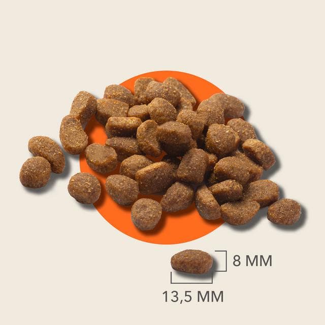 IAMS Sensitive Digestion with Turkey Dog Food 1+ Years 2kg - gallery image 5