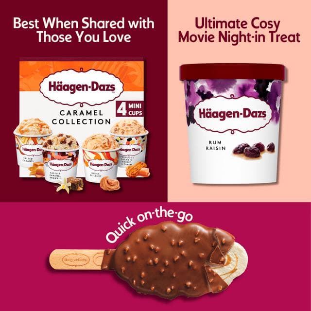 Haagen-Dazs Rum Raisin Ice Cream 400g - gallery image 3