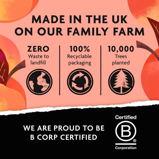 Belvoir Farm Non Alcoholic Peach Bellini 250ml - gallery image 5
