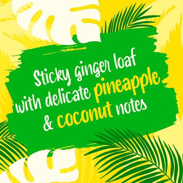 McVitie's Jamaica Ginger Pineapple & Coconut Flavour Sticky Pudding Cake - gallery image 2