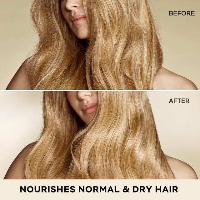 Pantene Base 500ml Pro V Moisture Recharge Nourishes Normal & Dry Hair Shampoo - gallery image 3