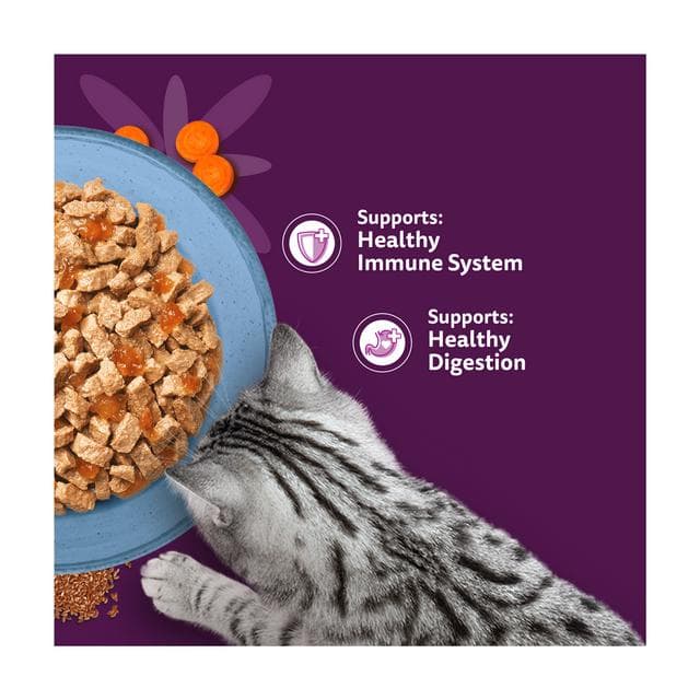 Whiskas Superfoods 6 x 50g 1+ Fish in Jelly Wet Cat Food Pouches - gallery image 3