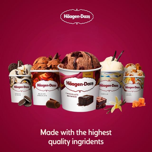 Haagen-Dazs 349g Chocolate Brownie Ice Cream - gallery image 3