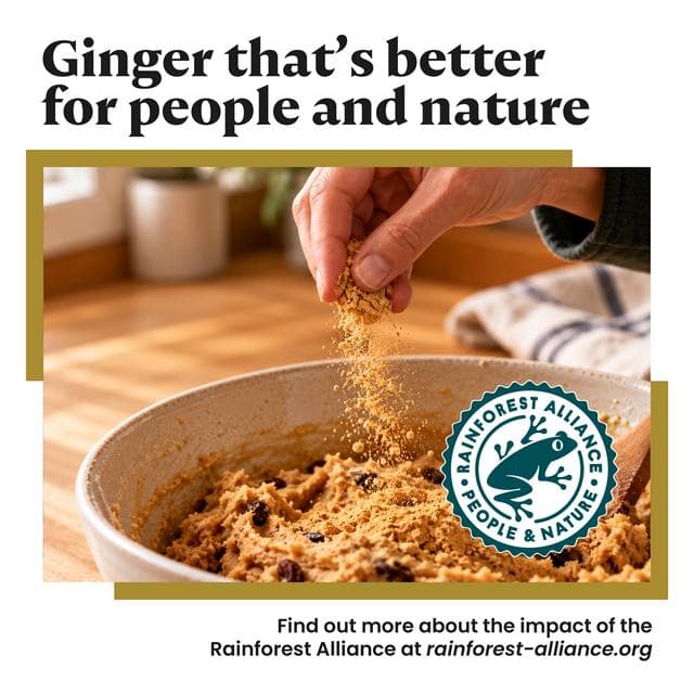 Bart 35g Ginger - gallery image 3