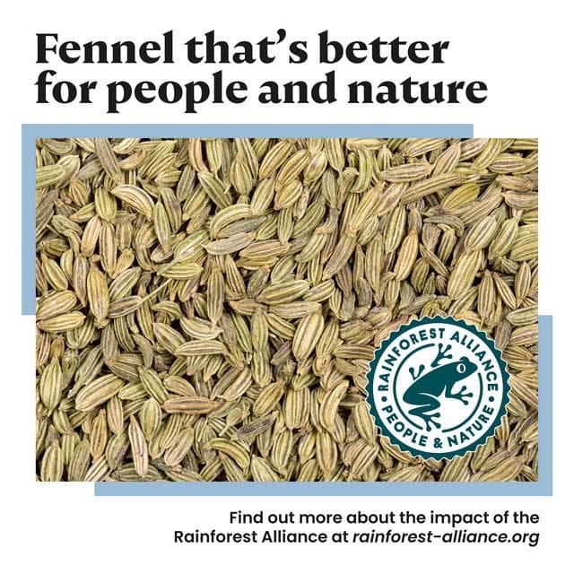 Bart 30g Fennel Seeds - gallery image 3