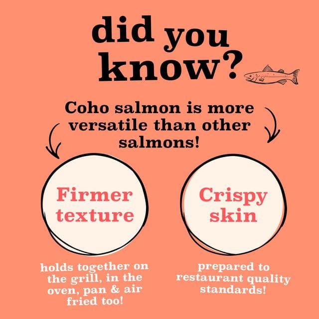 Fish Said Fred 2 x Coho Salmon Fillets 250g - gallery image 6