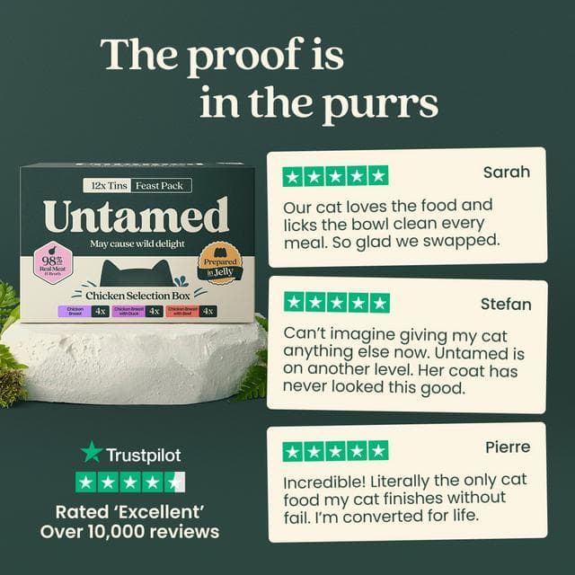 Untamed 12 x 75g Chicken in Jelly Selection Box Cat Food - gallery image 4