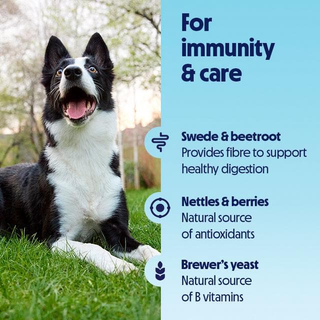 Tails.com Inner Vitality 50g Immunity & Care Vibrant Veggies Sprinkles Meal Topper - gallery image 4