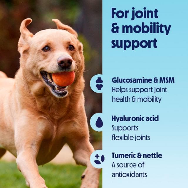 Tails.com Inner Vitality 250ml Mobility & Joint Rustic Beef Bone Broth Meal Topper Dog Food - gallery image 4