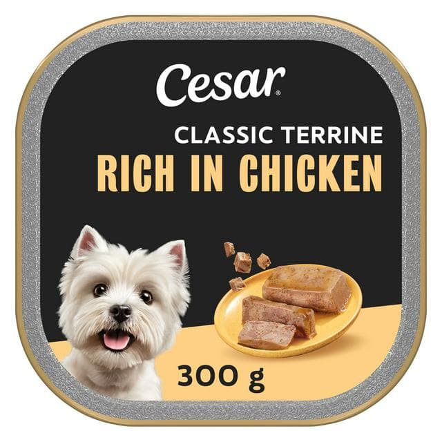 Cesar Classic Terrine 300g Rich Chicken in Loaf Wet Dog Food Tray - gallery image 1
