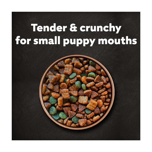 Cesar 1.4kg Junior Puppy Dry Dog Food with Fresh Chicken Rice & Vegetables - gallery image 4