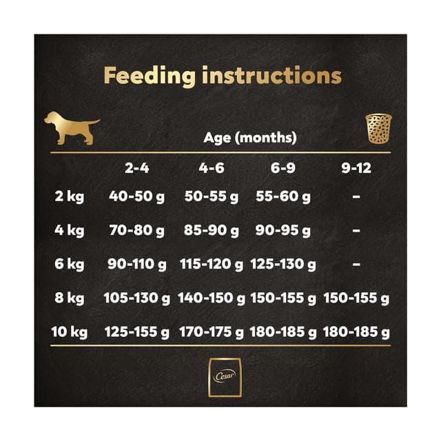 Cesar 1.4kg Junior Puppy Dry Dog Food with Fresh Chicken Rice & Vegetables - gallery image 5