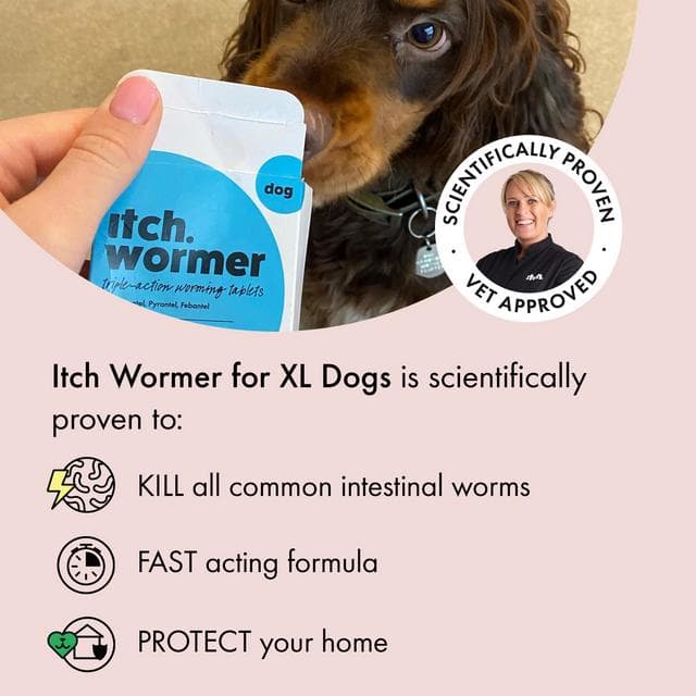 Itch 2 x Wormer XL Dog Triple Action Worming Tablets - gallery image 2
