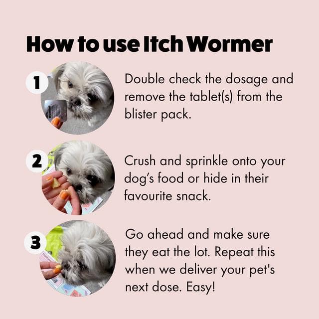 Itch 2 x Wormer XL Dog Triple Action Worming Tablets - gallery image 3