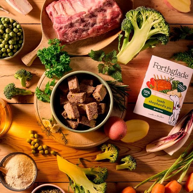 Forthglade 150g Shepherd's Pie Lamb Wet Dog Food Tray - gallery image 3
