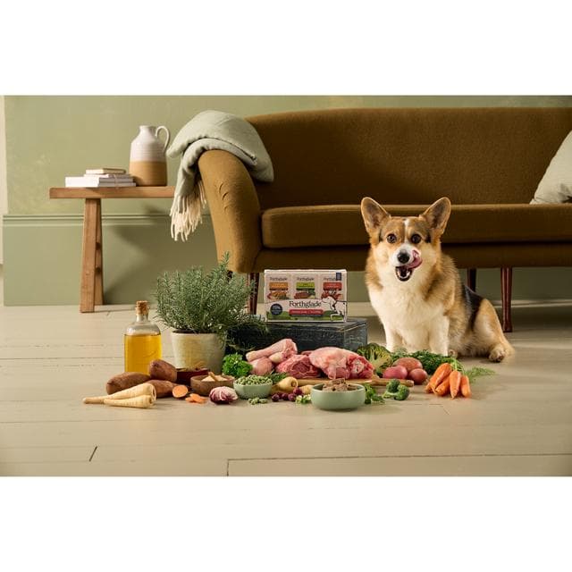 Forthglade 6 x 150g Variety Pack Wet Dog Food Tray - gallery image 6
