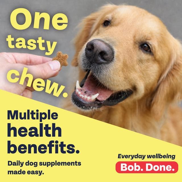 Bob Martin 120 x Joints + Skin & Coat Daily Supplements Tasty Soft Chews 200g - gallery image 3