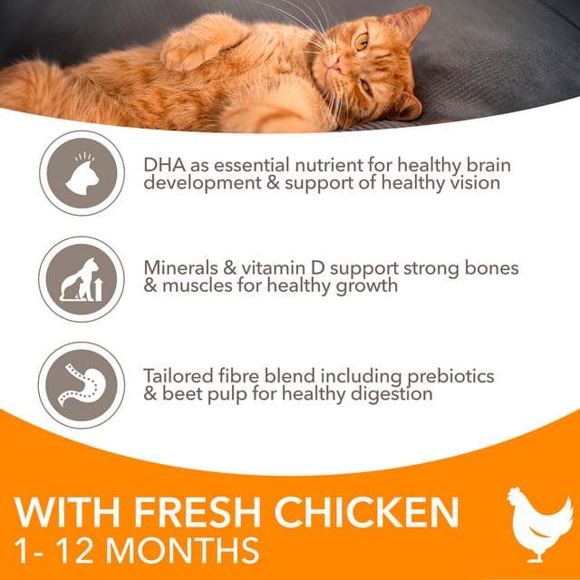 IAMS 3kg Rich in Fresh Chicken Kitten 1 to 12 Months Dry Cat Food - gallery image 4