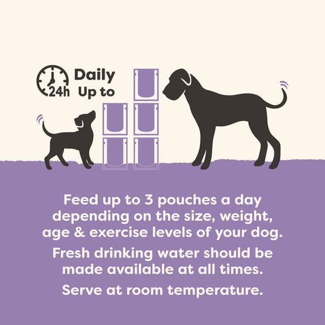 Applaws Taste Toppers 6 x 85g Variety Selection in Broth Natural Wet Dog Food Pouches - gallery image 6