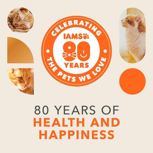 IAMS 3kg Advanced Nutrition 1+ Years Dry Cat Food with Fresh Chicken - gallery image 2