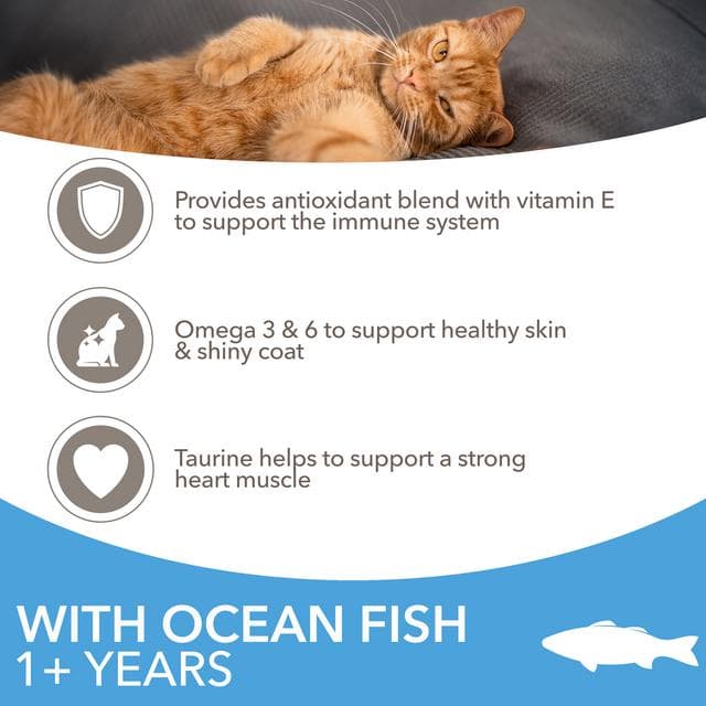 IAMS 3kg Advanced Nutrition 1+ Years Dry Cat Food with Ocean Fish - gallery image 3