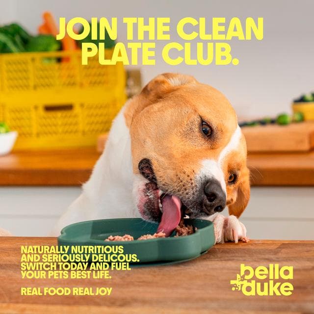 Bella + Duke 225g Grass Fed Beef Meatballs Dog Food - gallery image 5