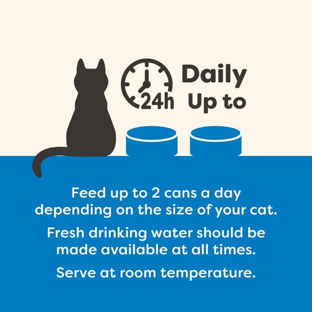 Applaws 24 x 70g Fish Selection in Broth Tins Natural Wet Cat Food - gallery image 5